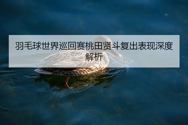 羽毛球世界巡回赛桃田贤斗复出表现深度解析